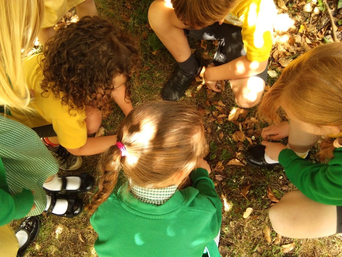 Children looking at the ground