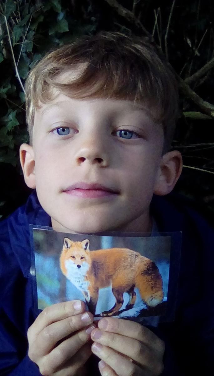 Happy child holding a photo of a fox